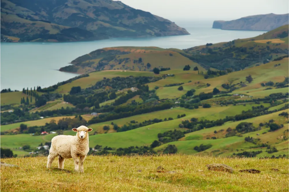 Nueva Zelanda