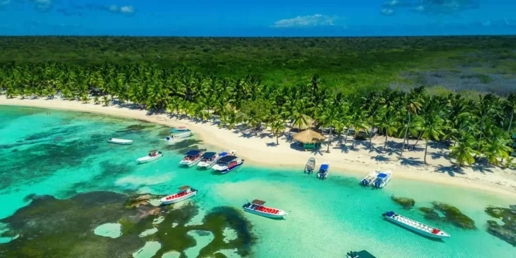 Platya-rep-dom