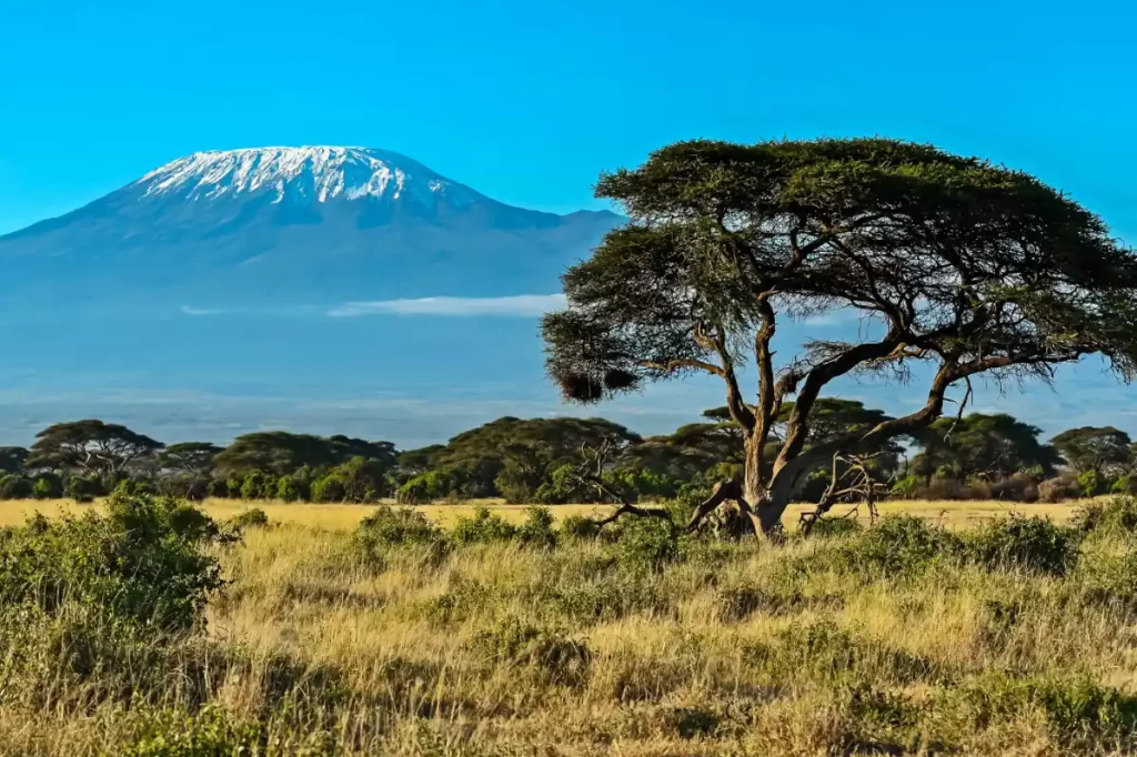 kenia